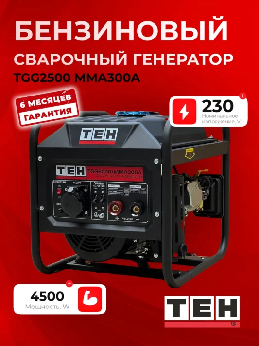 Сварочный аппарат TEH TGG2500/MMA300A — основное фото